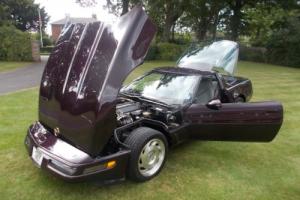 CHEVROLET CORVETTE 1992 300 HORSE LT1 - CHERISHED PLATE INCLUDED IN SALE. Photo