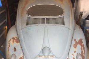 1955 Volkswagen Beetle - Classic Photo
