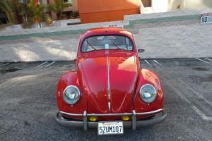 1951 Volkswagen Beetle - Classic Beetle Photo