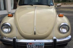 1973 Volkswagen Beetle - Classic