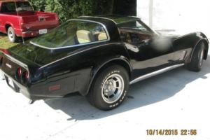 1981 Chevrolet Corvette Photo