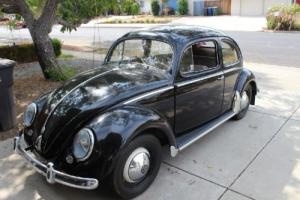 1953 Volkswagen Beetle - Classic Photo