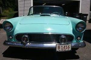 1955 Ford Thunderbird Photo