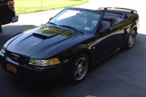 1999 Ford Mustang GT Convertible Photo
