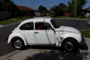 VW Super Beetle Photo