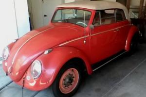 1961 Volkswagen Beetle - Classic