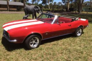 1967 Camaro Convertible in NSW