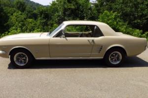 1966 Ford Mustang mustang Photo