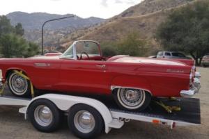 1955 Ford Thunderbird Photo