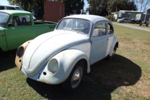 VW Beetle in QLD
