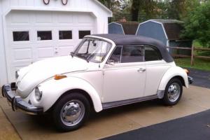 1978 Volkswagen Beetle - Classic Photo