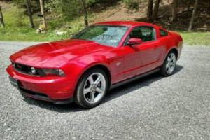 2010 Ford Mustang GT Photo