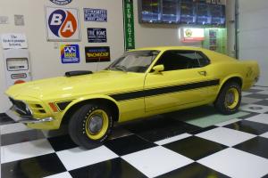 Ford: Mustang Sidewinder