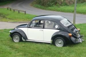 vw beetle 1974