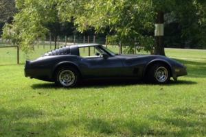 1981 Chevrolet Corvette