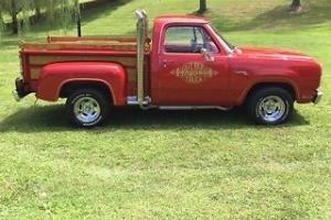 1979 Dodge Other Pickups Photo