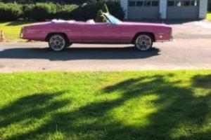 1976 Cadillac Eldorado pink panther Photo