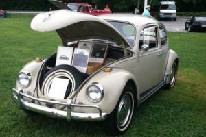 1967 Volkswagen Beetle - Classic Beetle Photo