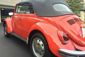 1970 Volkswagen Beetle - Classic BEETLE Photo