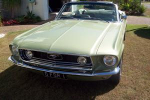 Collector CAR in QLD Photo