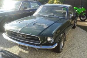 FORD MUSTANG 289 COUPE 1967 Photo