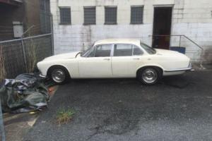 Jaguar Daimler Rare 2 8 SWB Only 3233 Ever Produced in QLD Photo
