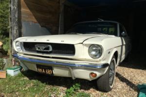 1966 Mustang Coupe 289 V8 Auto