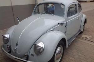 1960 VOLKSWAGEN BEETLE 1200 SEMAFORE MANUFACTURED 1959 SOUTH AFRICAN IMPORT Photo