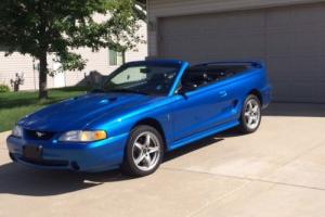 1998 Ford Mustang SVT Photo