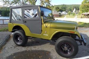 1966 Jeep Other Photo