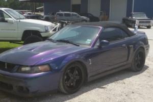 2004 Ford Mustang mystic chrome Photo