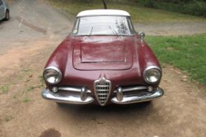 1965 Alfa Romeo Spider Photo