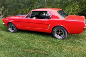 Ford: Mustang Photo