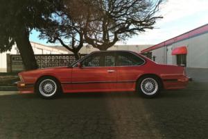 1987 BMW M6 E24 Photo