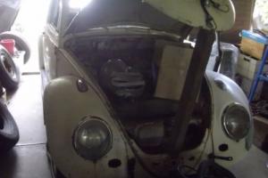 Classic 1962 VW Beetle 99 Rust Free NO BOG in QLD