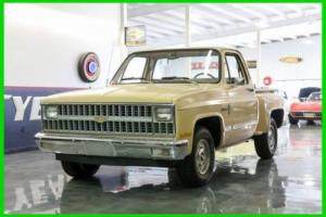1982 Chevrolet C10 C10 2dr Standard Cab SB