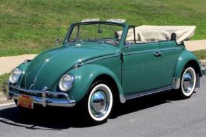 1960 Volkswagen Beetle - Classic Cabriolet Photo