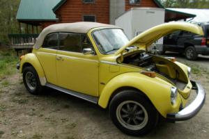 1979 Volkswagen Beetle - Classic KARMANN Photo