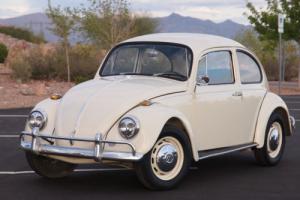 1967 Volkswagen Beetle - Classic FULLY RESTORED 1967 BEETLE BUG LIKE NEW IN AND OUT Photo