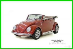 1977 Volkswagen Super Beetle Photo