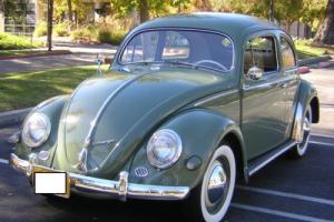 1956 Volkswagen Beetle - Classic