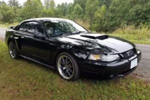 2002 Ford Mustang GT Premium Photo