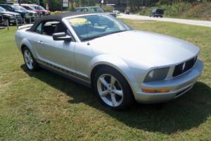 2005 Ford Mustang Base Photo