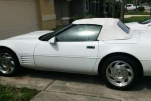 1993 Chevrolet Corvette 40th Anniversary Photo