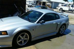 2002 Ford Mustang GT Photo