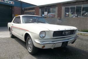 1966 FORD MUSTANG Photo