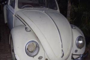 Classic 1965 VW Beetle 99 Rust Free NO BOG 1600 Single Port in QLD Photo