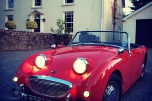 1959 AUSTIN HEALEY 'Frogeye' Sprite Restored and with Works Hard Top Photo