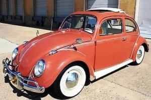 1958 Volkswagen Beetle - Classic Photo