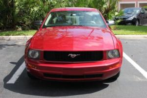 2005 Ford Mustang Deluxe Coupe 2D Photo